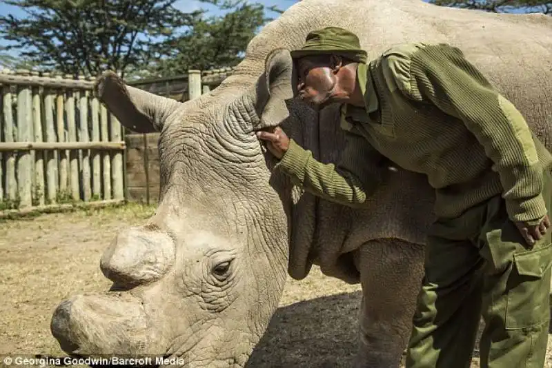 sudan e guardia joseph thuita