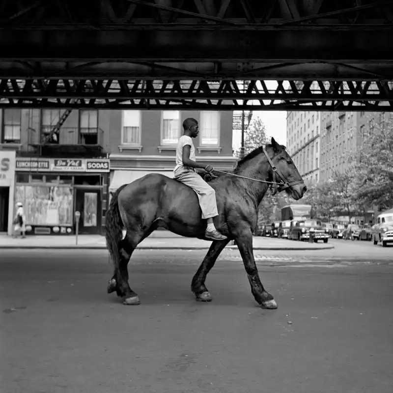 vivian maier mc