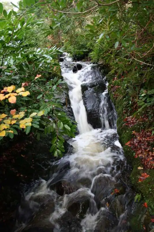 17   nel tollymore forest park in irlanda set di game of thrones