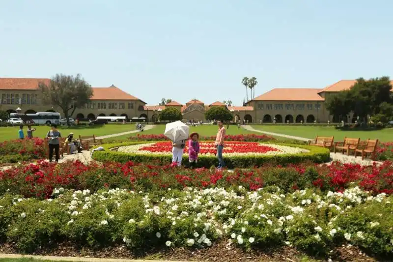 2- Stanford University