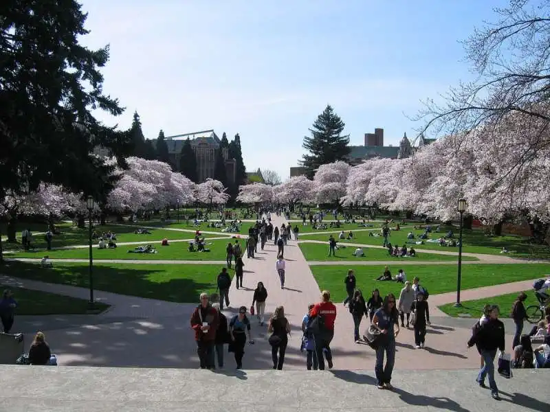 28   university of washington