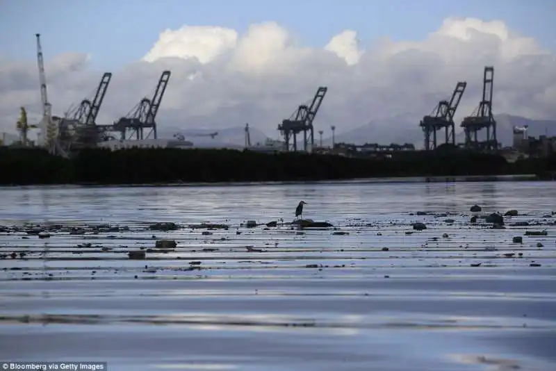  mondezza galleggiante a guanabara bay