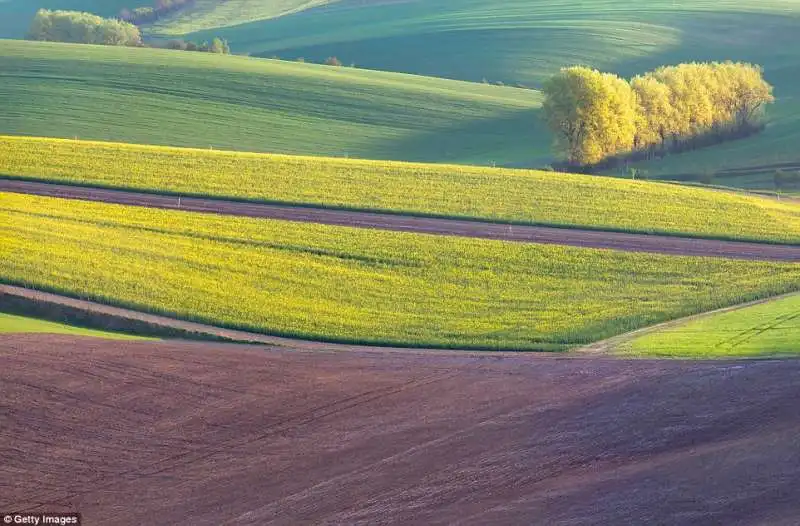 the moravian fields repubblica ceca