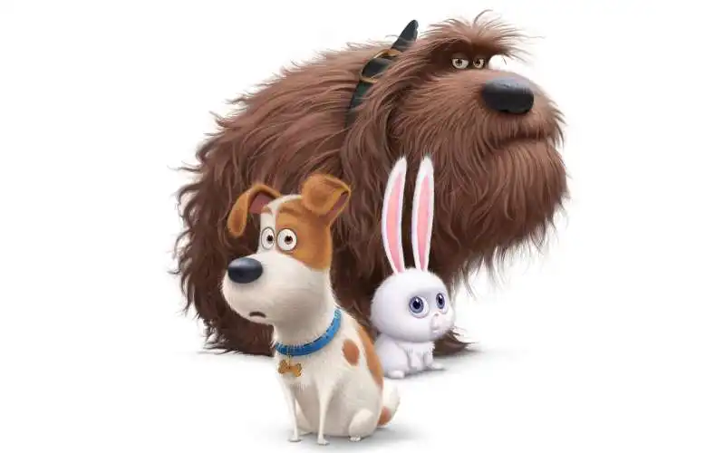 the secret  life  of pets  la vita segreta degli animali