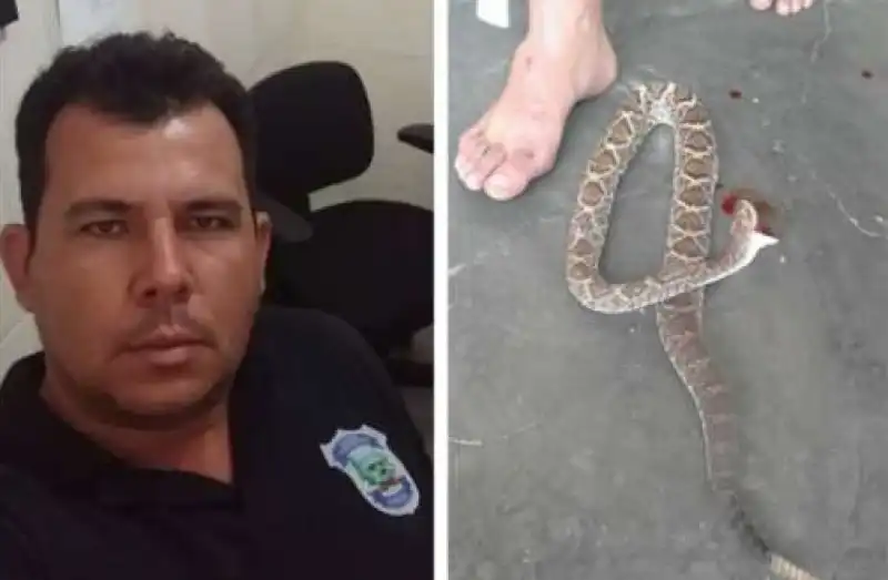 Alvaro Teixeira UCCIDE A MORSI IL SERPENTE CHE LO AVEVA AVVELENATO