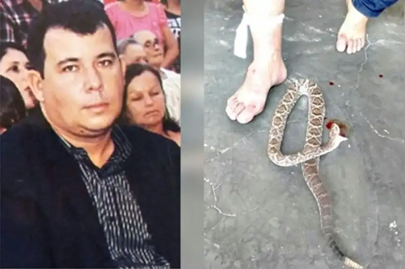 Alvaro Teixeira uccide A MORSI IL SERPENTE CHE LO AVEVA AVVELENATO