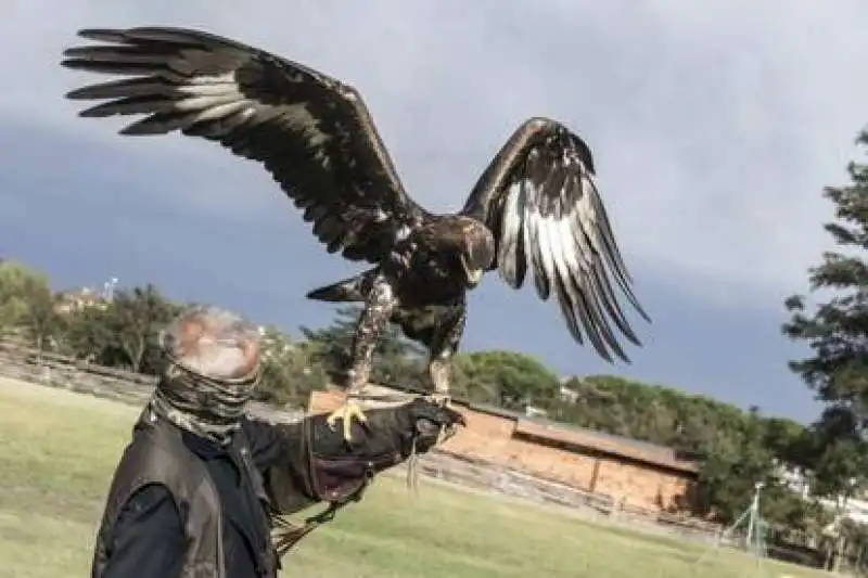 capitan Ultimo e la sua aquila