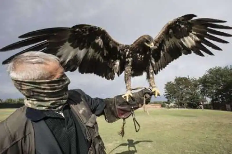 capitan Ultimo e la sua aquila1