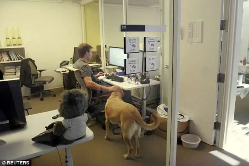 google permette di portare il cane in ufficio