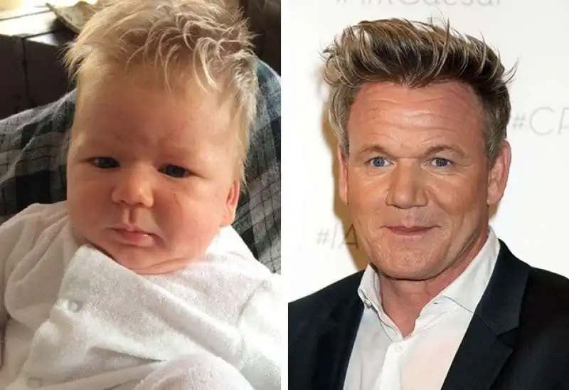 gordon ramsay