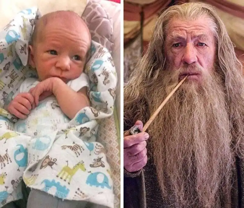 ian mckellen gandalf