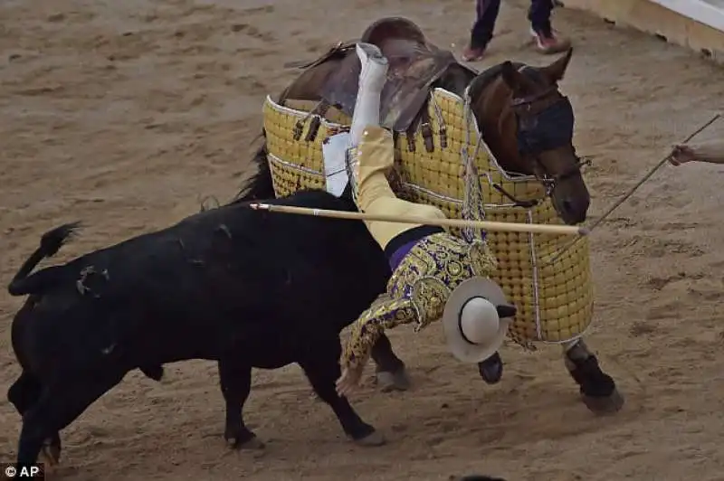 il picador tirato giu dal cavallo