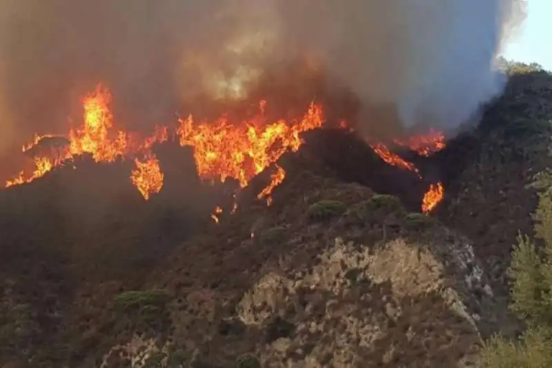 INCENDI ITALIA