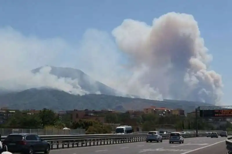 incendi sul vesuvio  4