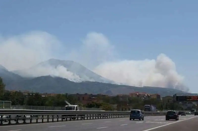 incendi sul vesuvio   