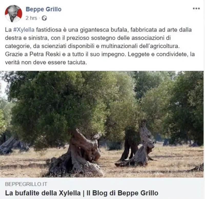 beppe grillo xylella bufala