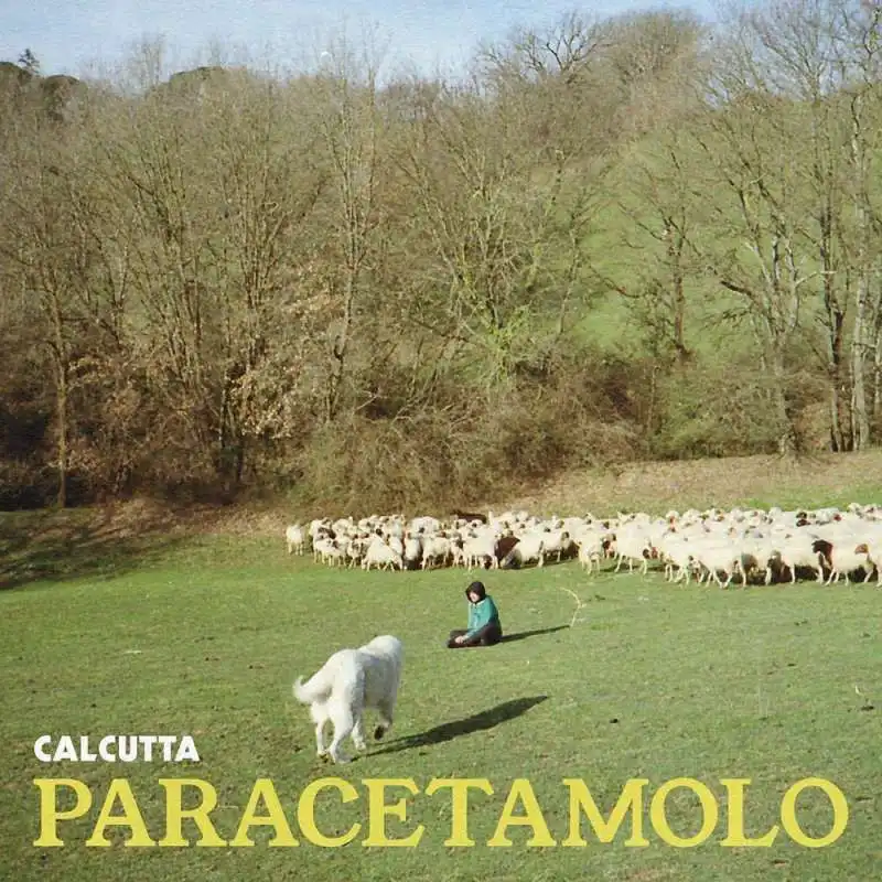 CALCUTTA - PARACETAMOLO