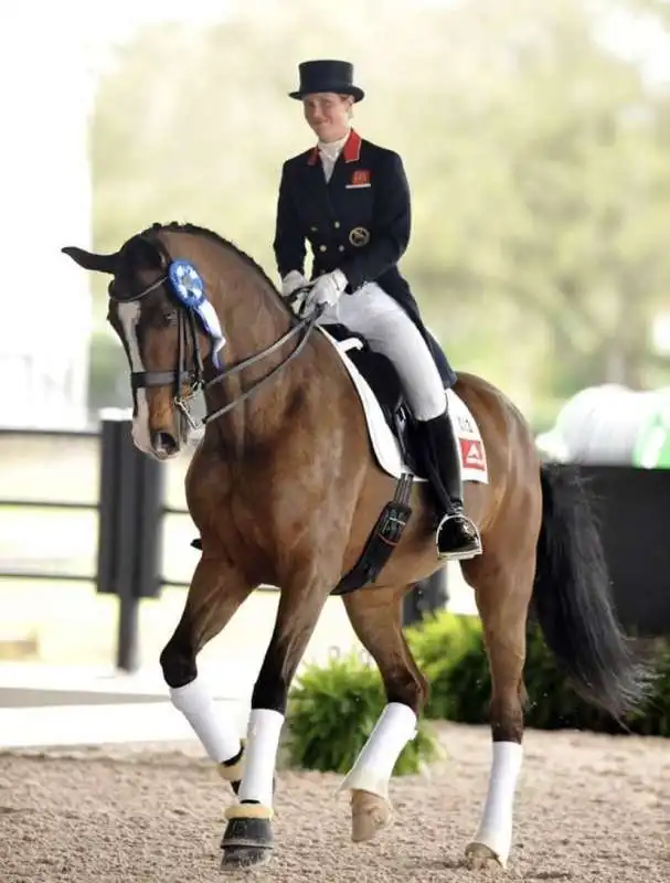 dressage 4