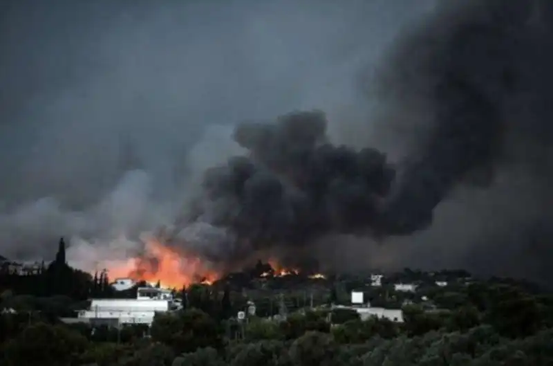 incendi grecia 15