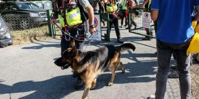 KAOS IL CANE EROE DI AMATRICE