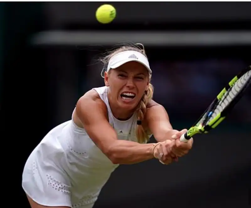 wozniacki wimbledon formiche volanti