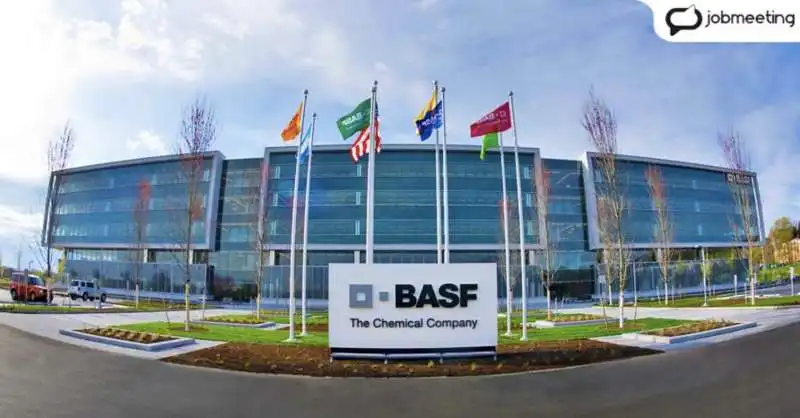 basf 4