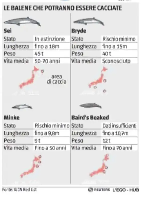 CACCIA ALLE BALENE  