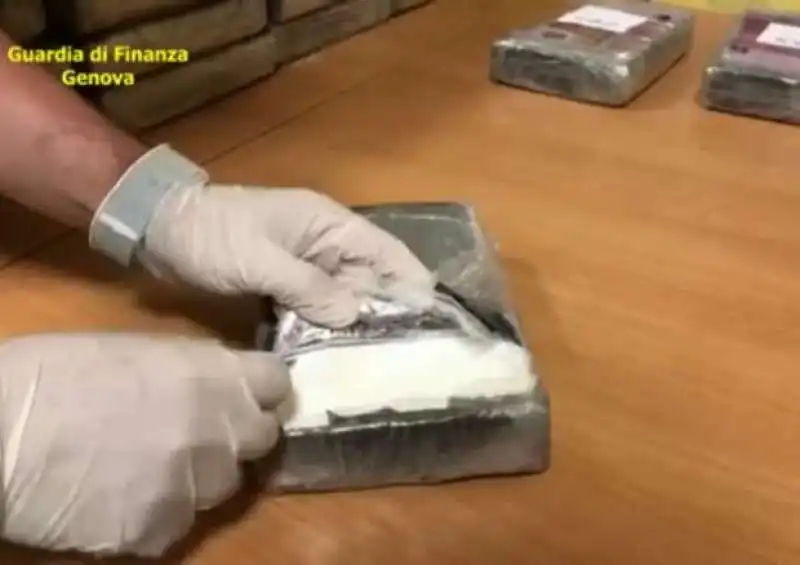 COCAINA SEQUESTRATA AL PORTO DI GENOVA