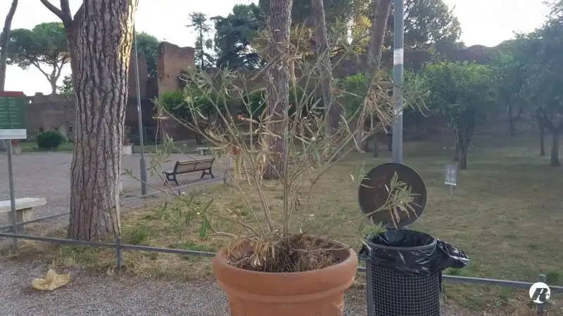 degrado al giardino degli aranci di roma 6