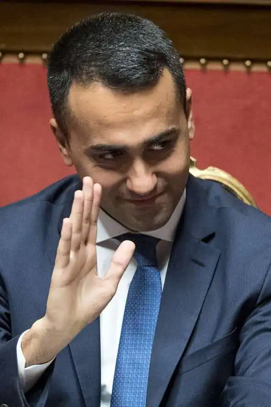 LUIGI DI MAIO