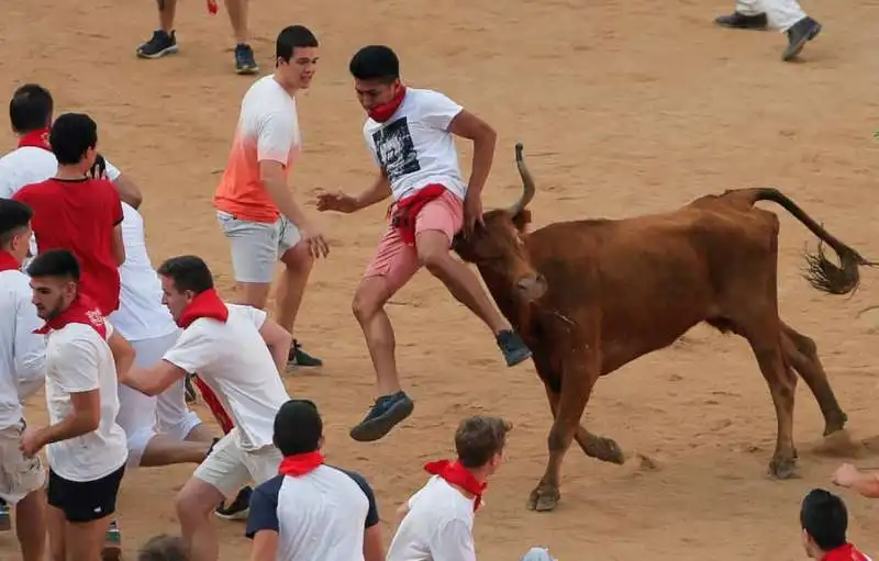 pamplona 12