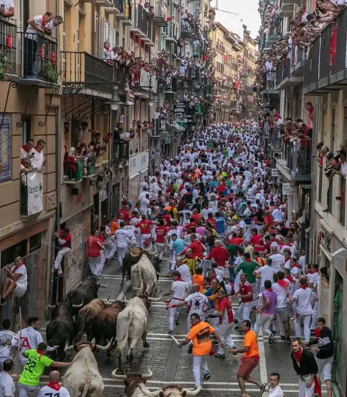 pamplona 14