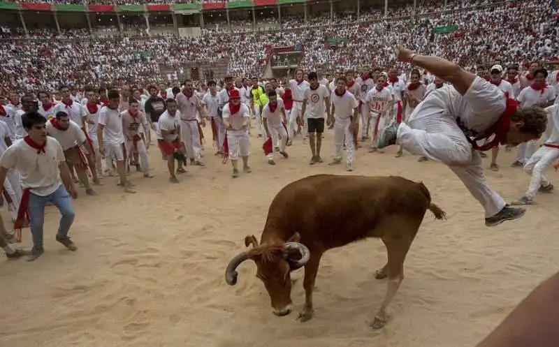 pamplona 17