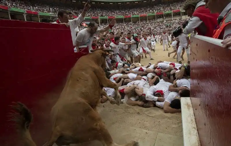 pamplona 18