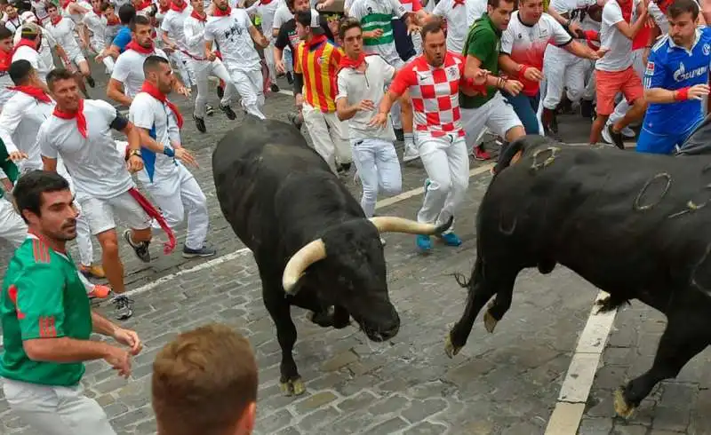 pamplona 26