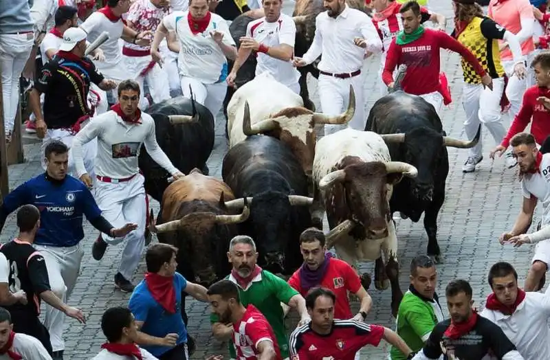 pamplona 4