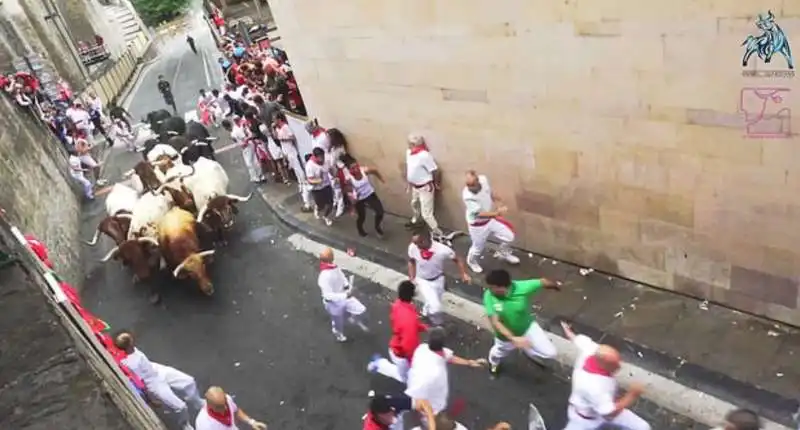 pamplona 7