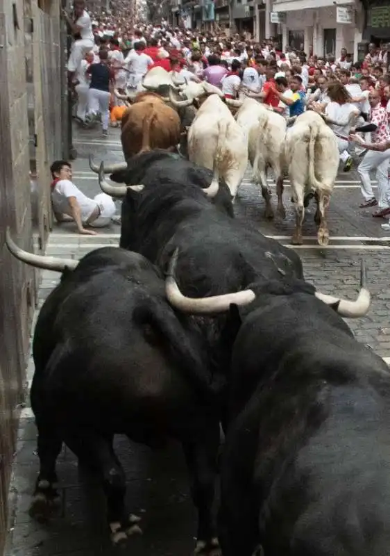 pamplona 8