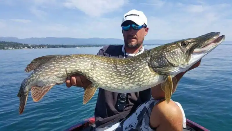 pesca  sul lago lemano