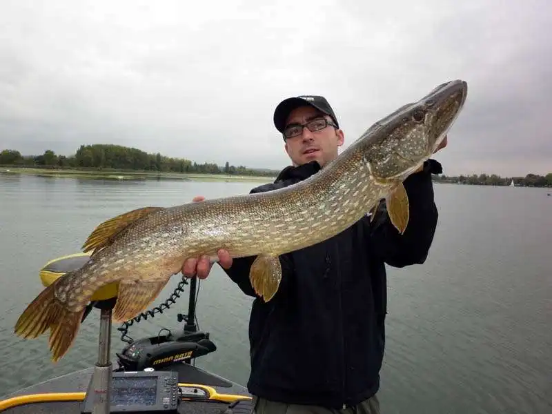 pesca sul lago lemano