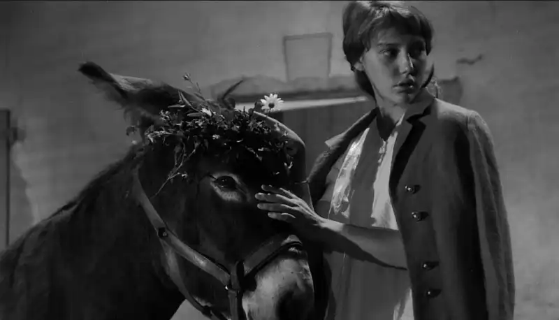 Robert Bresson Au hasard Balthazar 