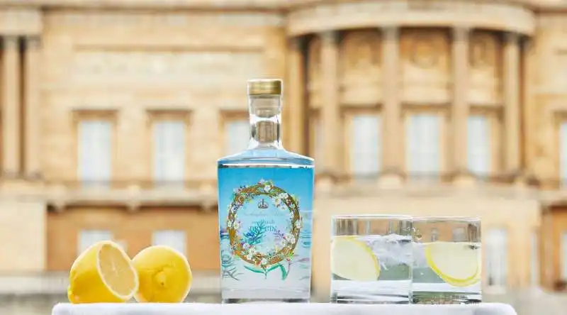 buckingham palace dry gin 1