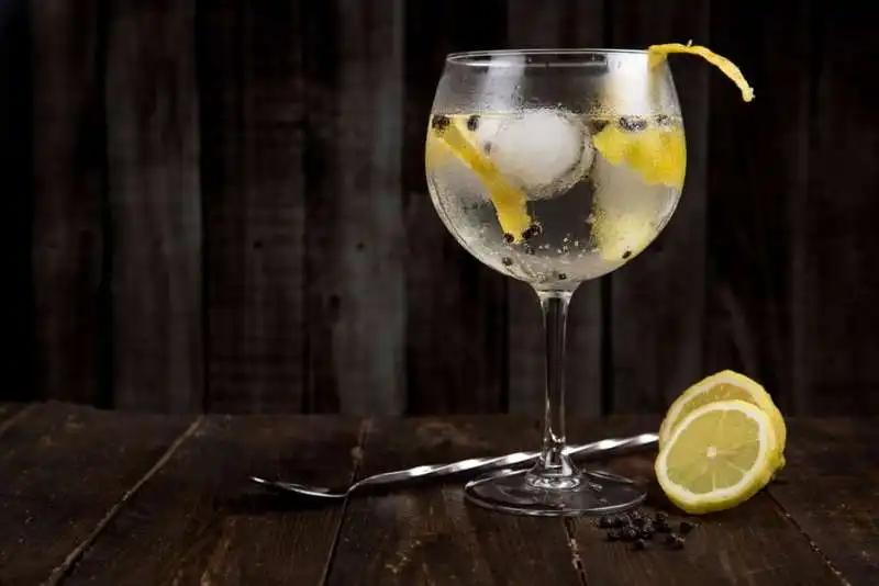 gin tonic 2