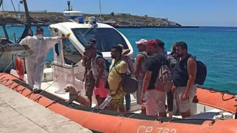 migranti con barboncino vestiti da turisti