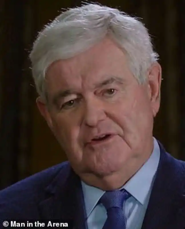 newt gingrich