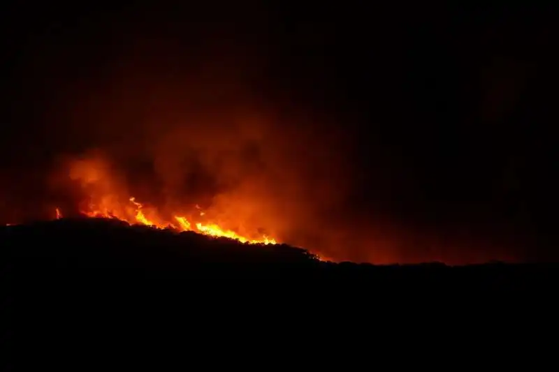 incendi in sardegna