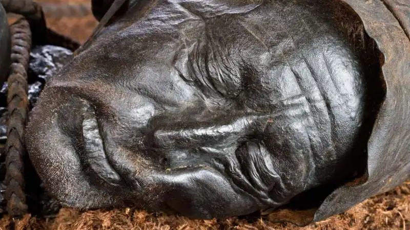 La testa di Tollund Man