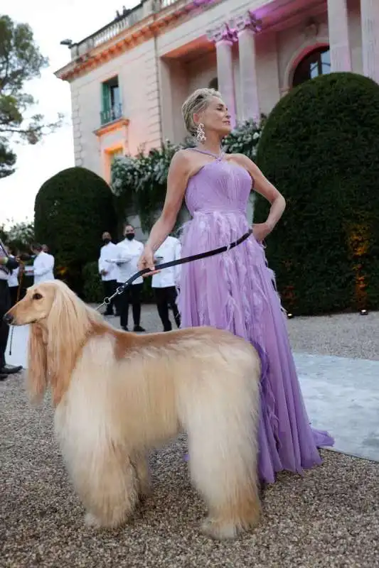 Sharon Stone con il suo cane