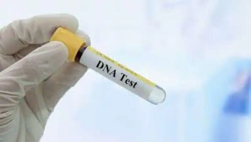 test del dna 5