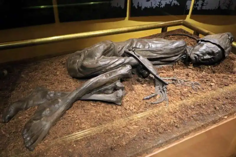 Tollund Man 3